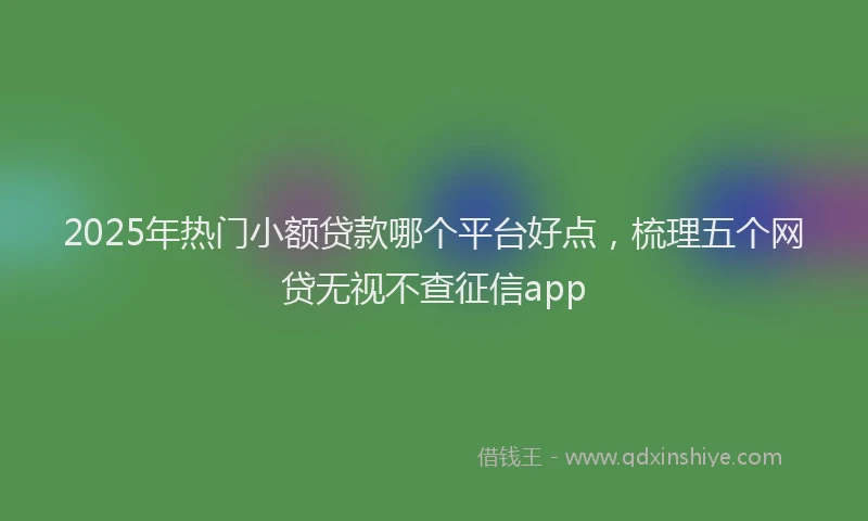 2025年热门小额贷款哪个平台好点，梳理五个网贷无视不查征信app