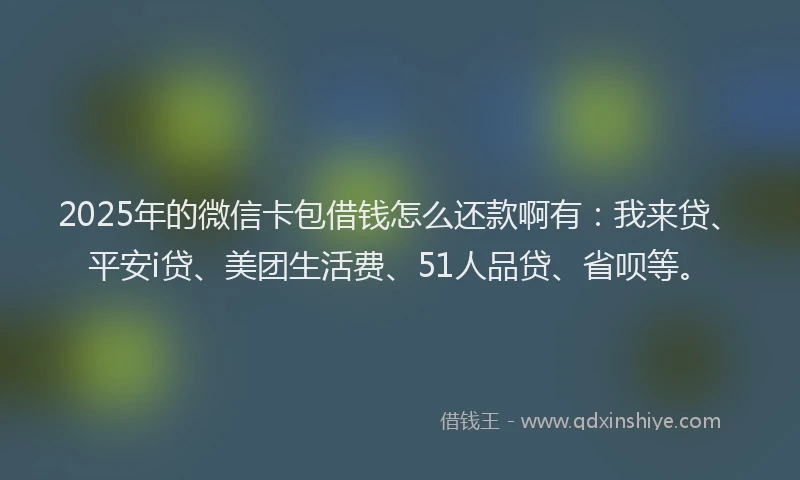 2025年的微信卡包借钱怎么还款啊有：我来贷、平安i贷、美团生活费、51人品贷、省呗等。