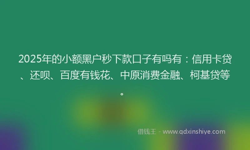 2025年的小额黑户秒下款口子有吗有：信用卡贷、还呗、百度有钱花、中原消费金融、柯基贷等。