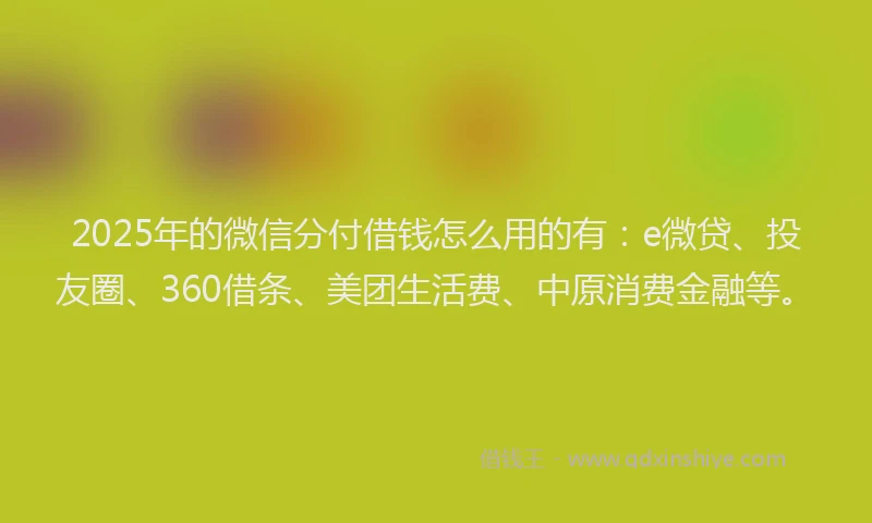 2025年的微信分付借钱怎么用的有：e微贷、投友圈、360借条、美团生活费、中原消费金融等。
