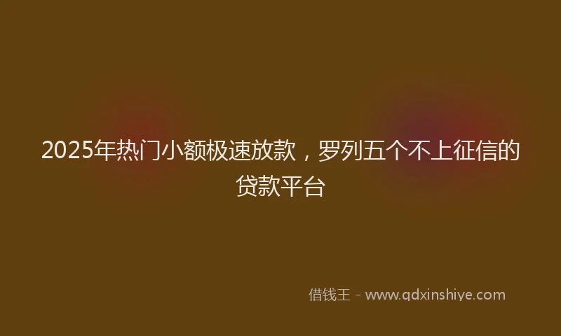 2025年热门小额极速放款，罗列五个不上征信的贷款平台