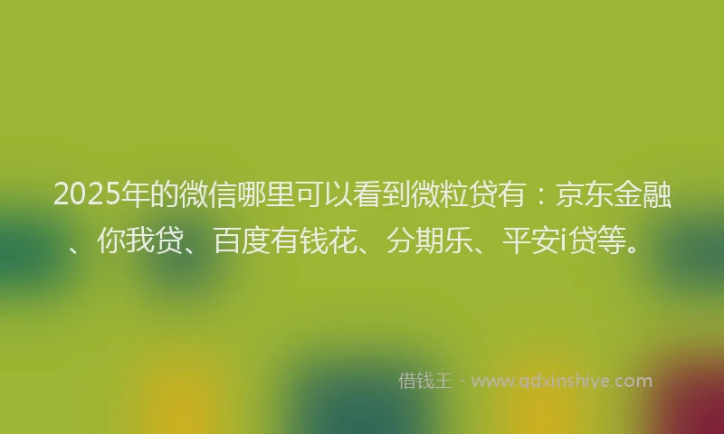 2025年的微信哪里可以看到微粒贷有：京东金融、你我贷、百度有钱花、分期乐、平安i贷等。