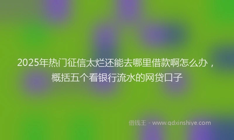 2025年热门征信太烂还能去哪里借款啊怎么办，概括五个看银行流水的网贷口子