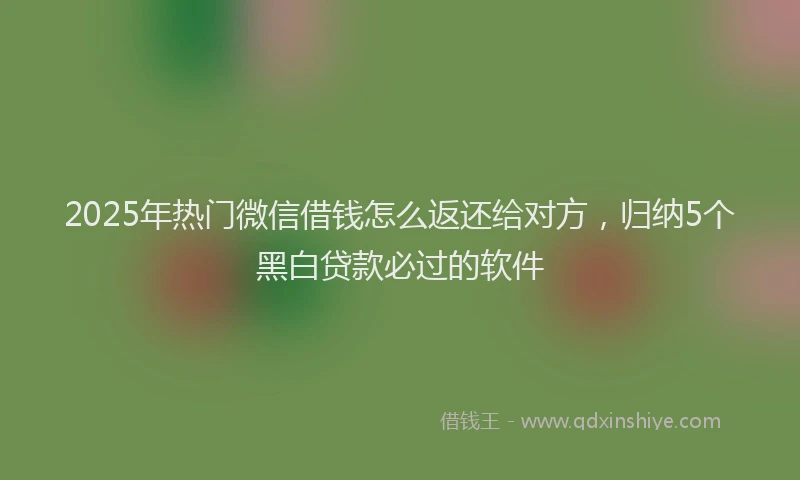 2025年热门微信借钱怎么返还给对方，归纳5个黑白贷款必过的软件