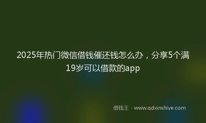 2025年热门微信借钱催还钱怎么办，分享5个满19岁可以借款的app