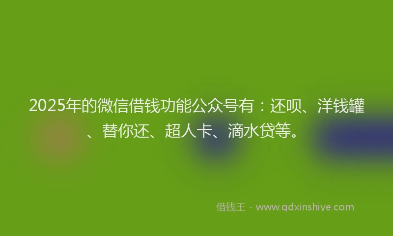 2025年的微信借钱功能公众号有：还呗、洋钱罐、替你还、超人卡、滴水贷等。