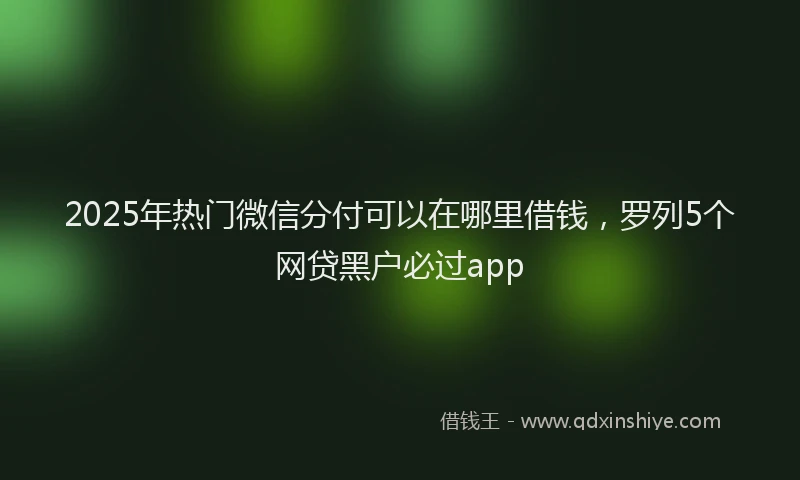 2025年热门微信分付可以在哪里借钱，罗列5个网贷黑户必过app