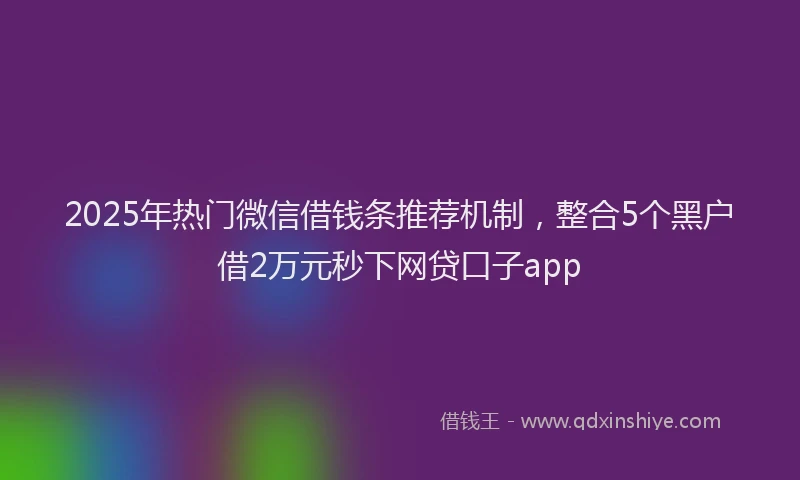 2025年热门微信借钱条推荐机制，整合5个黑户借2万元秒下网贷口子app
