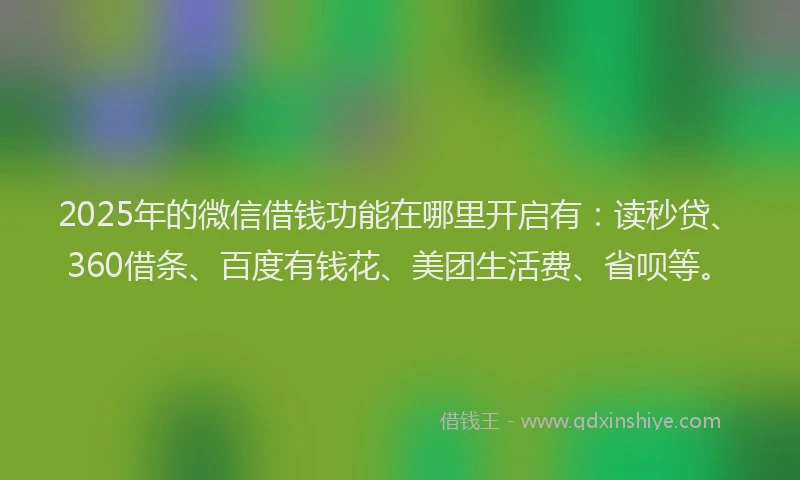 2025年的微信借钱功能在哪里开启有：读秒贷、360借条、百度有钱花、美团生活费、省呗等。