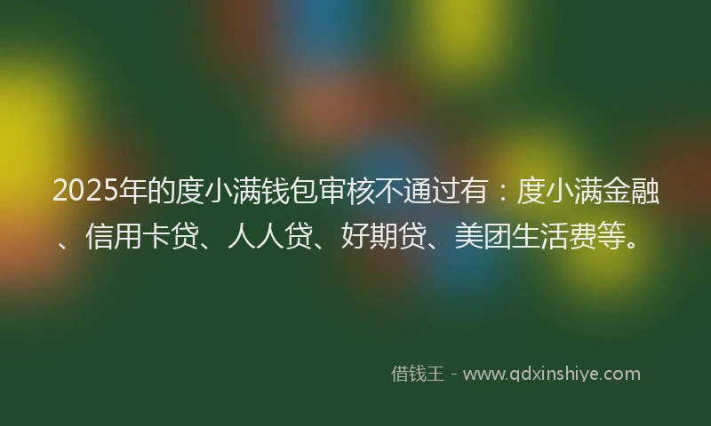 2025年的度小满钱包审核不通过有：度小满金融、信用卡贷、人人贷、好期贷、美团生活费等。