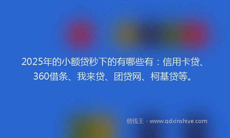 2025年的小额贷秒下的有哪些有：信用卡贷、360借条、我来贷、团贷网、柯基贷等。