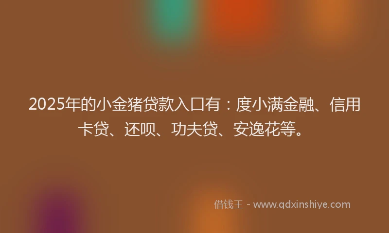 2025年的小金猪贷款入口有：度小满金融、信用卡贷、还呗、功夫贷、安逸花等。
