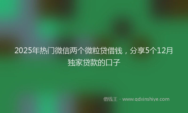 2025年热门微信两个微粒贷借钱，分享5个12月独家贷款的口子