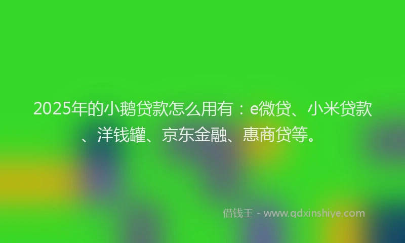 2025年的小鹅贷款怎么用有：e微贷、小米贷款、洋钱罐、京东金融、惠商贷等。