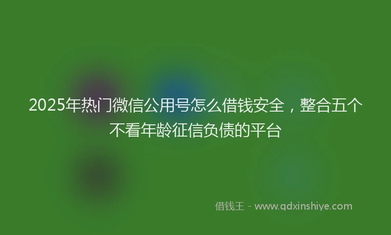 2025年热门微信公用号怎么借钱安全，整合五个不看年龄征信负债的平台