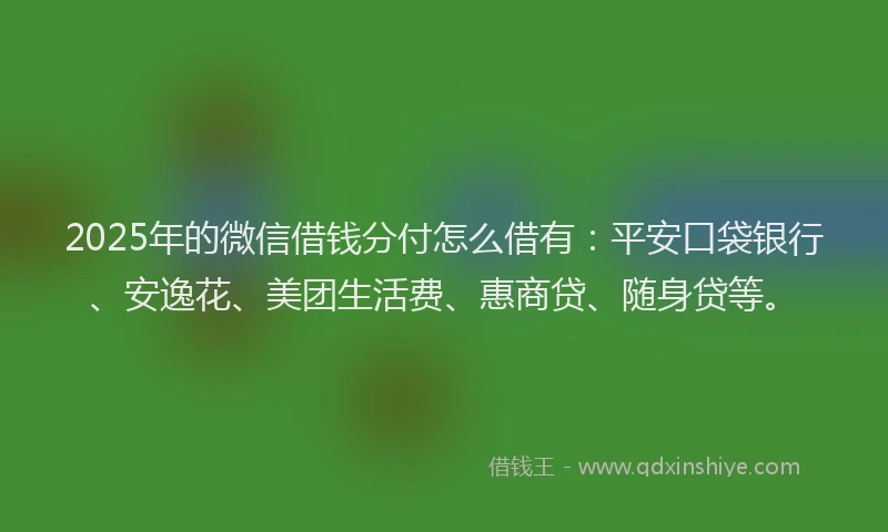 2025年的微信借钱分付怎么借有：平安口袋银行、安逸花、美团生活费、惠商贷、随身贷等。