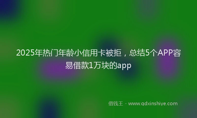 2025年热门年龄小信用卡被拒，总结5个APP容易借款1万块的app