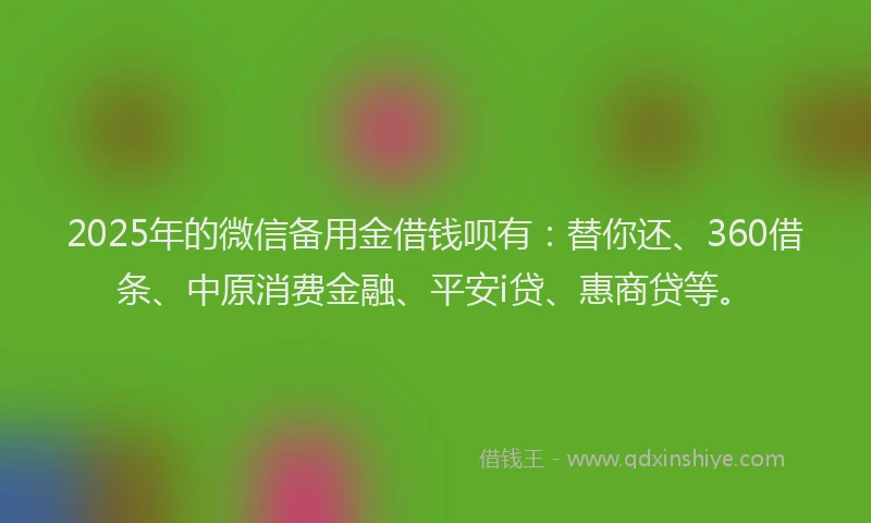 2025年的微信备用金借钱呗有：替你还、360借条、中原消费金融、平安i贷、惠商贷等。