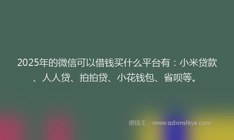2025年的微信可以借钱买什么平台有：小米贷款、人人贷、拍拍贷、小花钱包、省呗等。