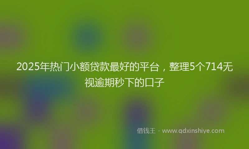 2025年热门小额贷款最好的平台，整理5个714无视逾期秒下的口子