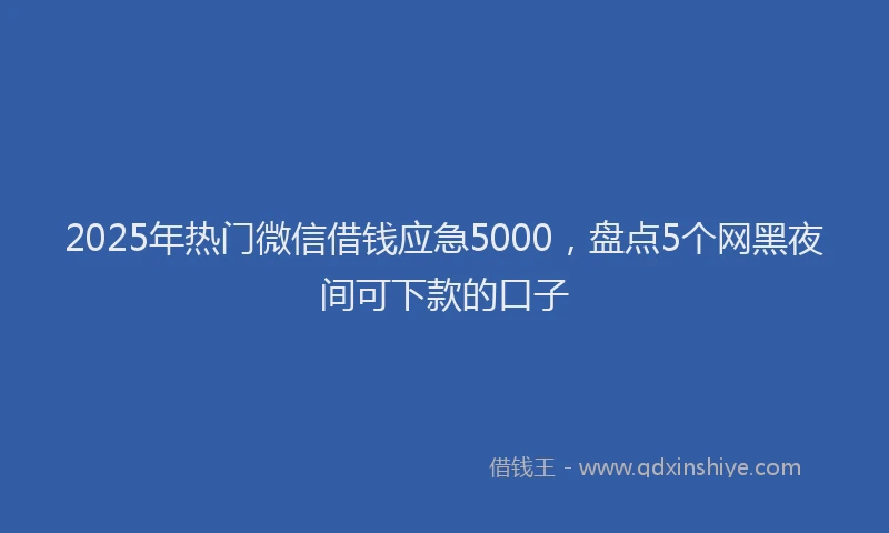 2025年热门微信借钱应急5000，盘点5个网黑夜间可下款的口子