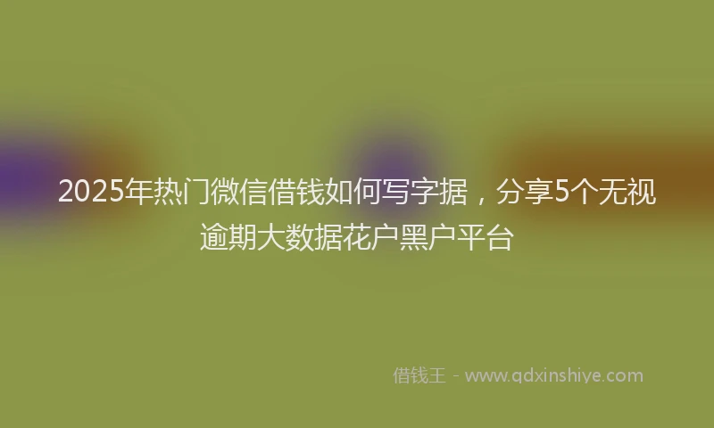 2025年热门微信借钱如何写字据，分享5个无视逾期大数据花户黑户平台