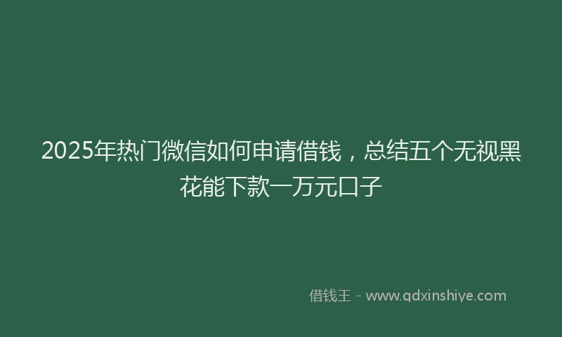 2025年热门微信如何申请借钱，总结五个无视黑花能下款一万元口子
