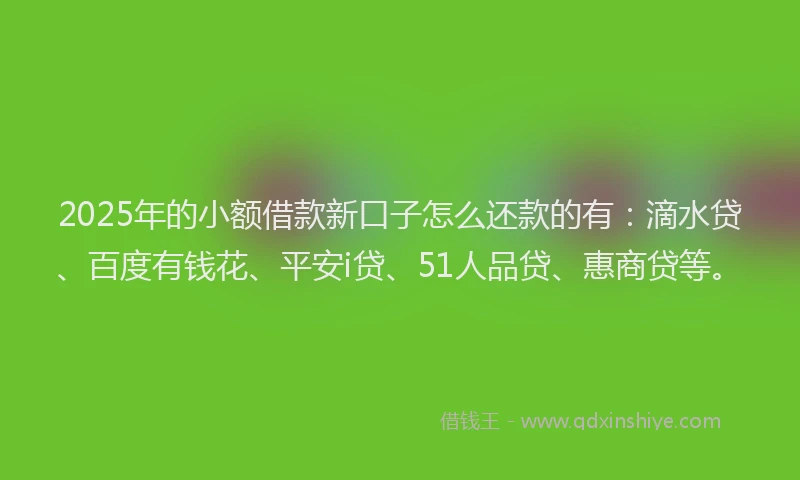 2025年的小额借款新口子怎么还款的有：滴水贷、百度有钱花、平安i贷、51人品贷、惠商贷等。