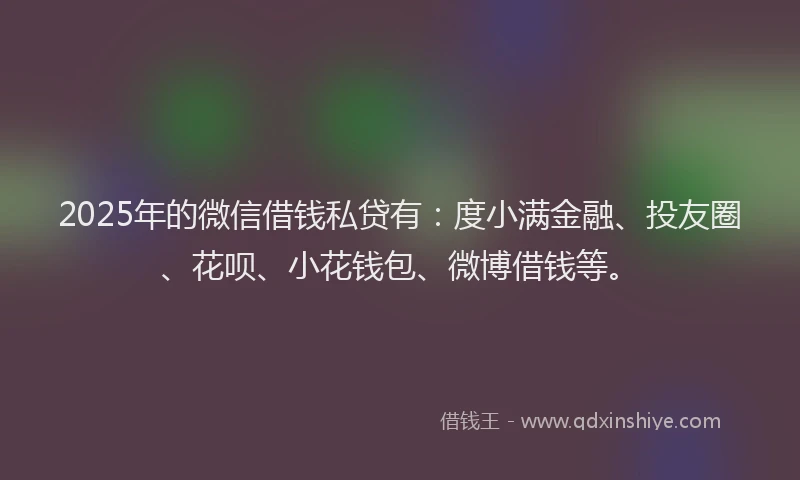 2025年的微信借钱私贷有：度小满金融、投友圈、花呗、小花钱包、微博借钱等。