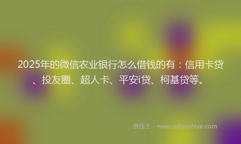 2025年的微信农业银行怎么借钱的有：信用卡贷、投友圈、超人卡、平安i贷、柯基贷等。