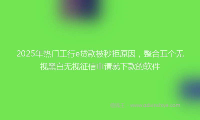 2025年热门工行e贷款被秒拒原因，整合五个无视黑白无视征信申请就下款的软件