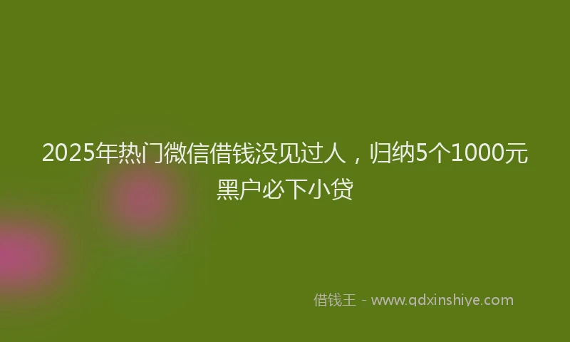 2025年热门微信借钱没见过人，归纳5个1000元黑户必下小贷