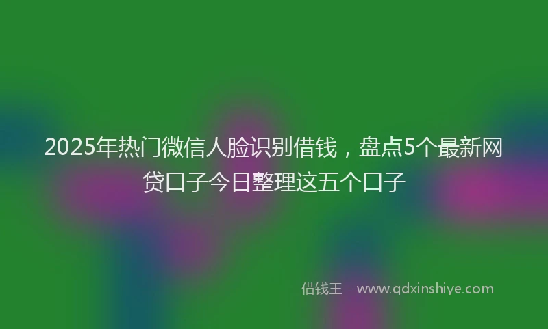 2025年热门微信人脸识别借钱，盘点5个最新网贷口子今日整理这五个口子