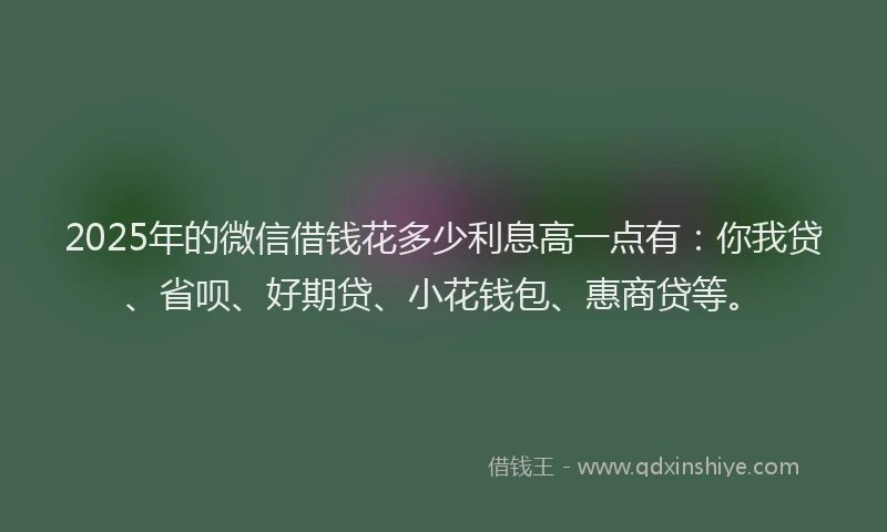 2025年的微信借钱花多少利息高一点有：你我贷、省呗、好期贷、小花钱包、惠商贷等。