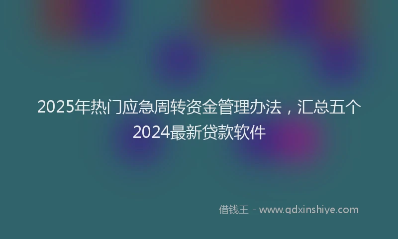 2025年热门应急周转资金管理办法，汇总五个2024最新贷款软件