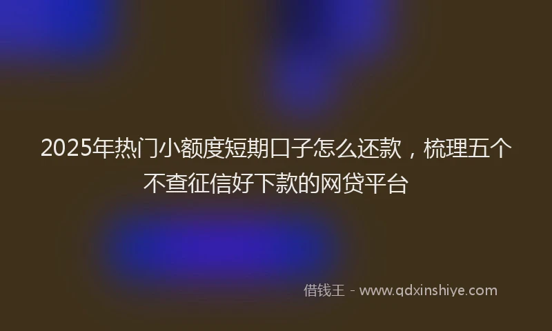 2025年热门小额度短期口子怎么还款，梳理五个不查征信好下款的网贷平台