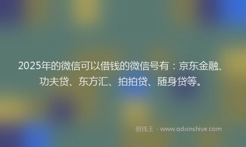 2025年的微信可以借钱的微信号有：京东金融、功夫贷、东方汇、拍拍贷、随身贷等。