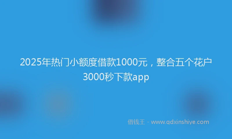 2025年热门小额度借款1000元，整合五个花户3000秒下款app