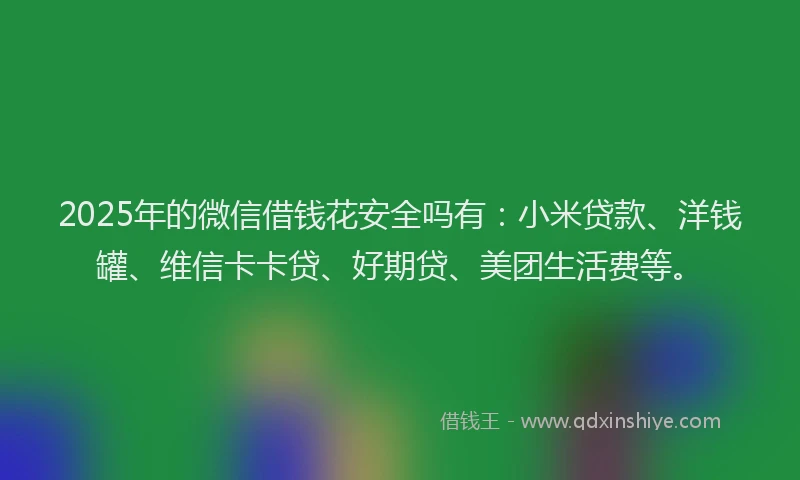 2025年的微信借钱花安全吗有：小米贷款、洋钱罐、维信卡卡贷、好期贷、美团生活费等。
