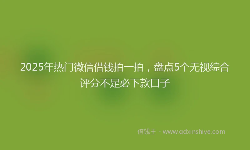 2025年热门微信借钱拍一拍，盘点5个无视综合评分不足必下款口子