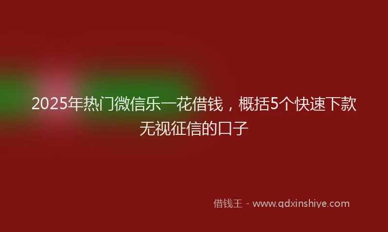 2025年热门微信乐一花借钱，概括5个快速下款无视征信的口子