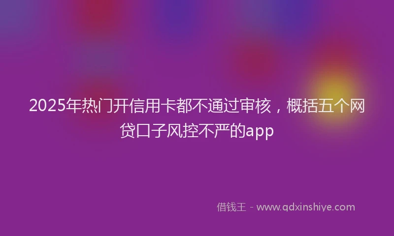 2025年热门开信用卡都不通过审核，概括五个网贷口子风控不严的app