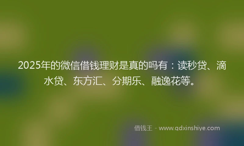 2025年的微信借钱理财是真的吗有：读秒贷、滴水贷、东方汇、分期乐、融逸花等。