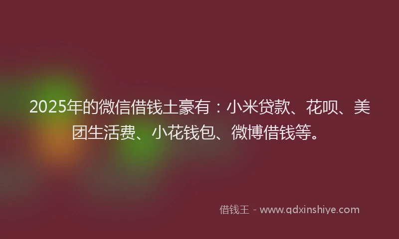 2025年的微信借钱土豪有：小米贷款、花呗、美团生活费、小花钱包、微博借钱等。