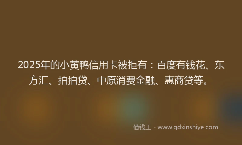 2025年的小黄鸭信用卡被拒有：百度有钱花、东方汇、拍拍贷、中原消费金融、惠商贷等。