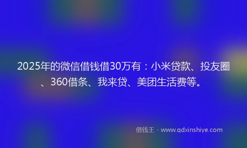 2025年的微信借钱借30万有：小米贷款、投友圈、360借条、我来贷、美团生活费等。