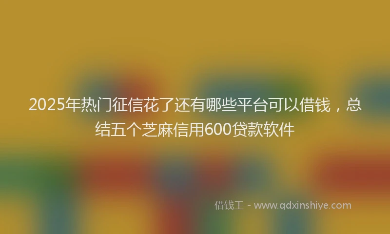 2025年热门征信花了还有哪些平台可以借钱，总结五个芝麻信用600贷款软件