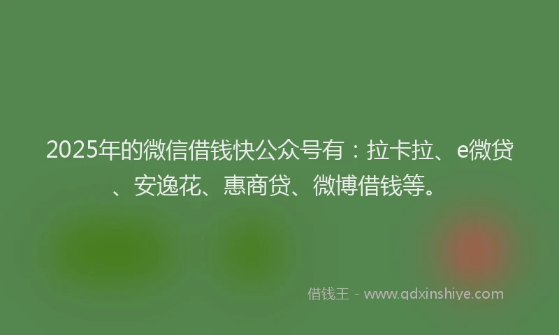 2025年的微信借钱快公众号有：拉卡拉、e微贷、安逸花、惠商贷、微博借钱等。
