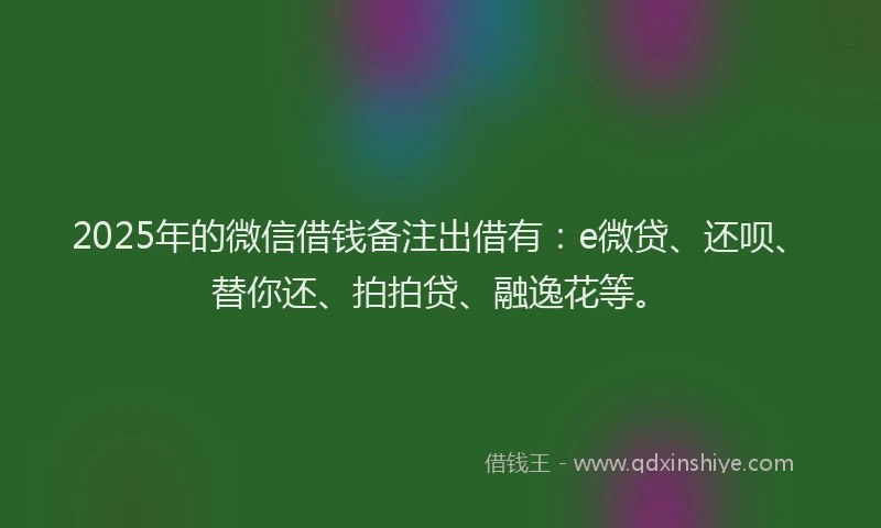 2025年的微信借钱备注出借有：e微贷、还呗、替你还、拍拍贷、融逸花等。