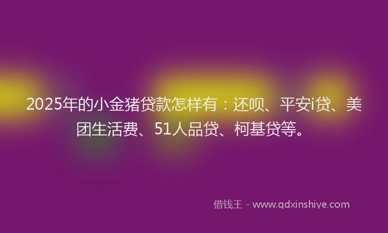 2025年的小金猪贷款怎样有：还呗、平安i贷、美团生活费、51人品贷、柯基贷等。
